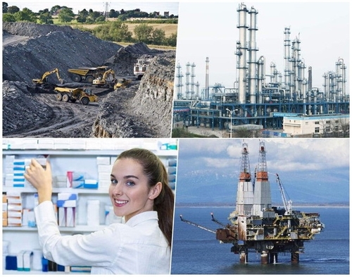 Latest company news about ما وراء الأساسيات: تطبيقات مبتكرة للشبكة السلكية من الفولاذ المقاوم للصدأ في الصناعات الحديثة